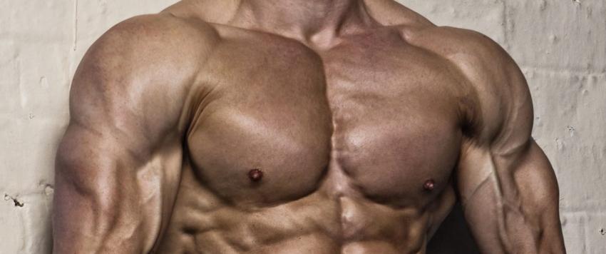 5 نصائح ستساعدك على بناء العضلات بالطريقة الصحيحة