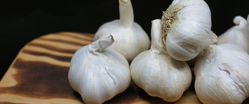 أضرار تناول الكثير من الثوم