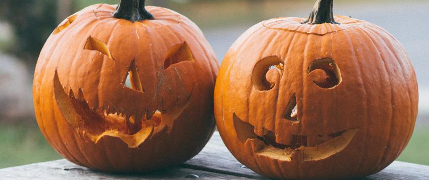 انضموا إلى حفلة هالوين قرب المسبح في ميليا ديزرت بالم دبي