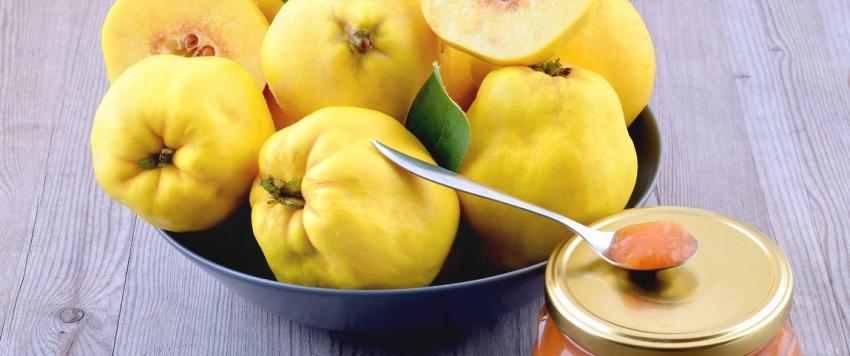 فوائد فاكهة السفرجل للرجيم