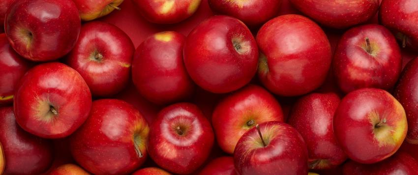 التفاح الأحمر