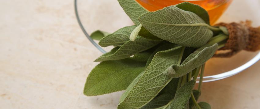 ما العلاقة بين الميرمية وارتفاع الضغط؟