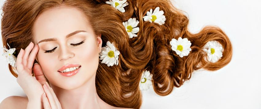 فوائد البابونج للشعر