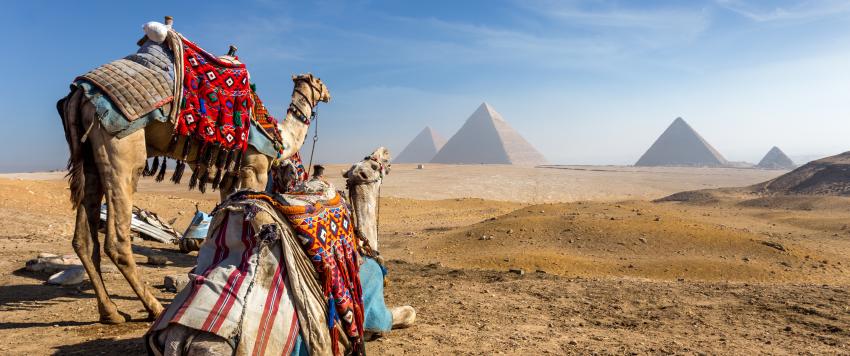  9 طرق للاستمتاع بالقاهرة أثناء وباء كورونا