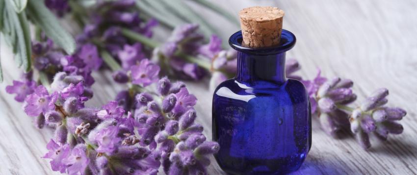 زيت اللافندر