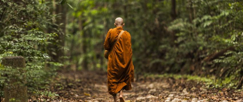  تعرف على فوائد التأمل سيرا على الأقدام