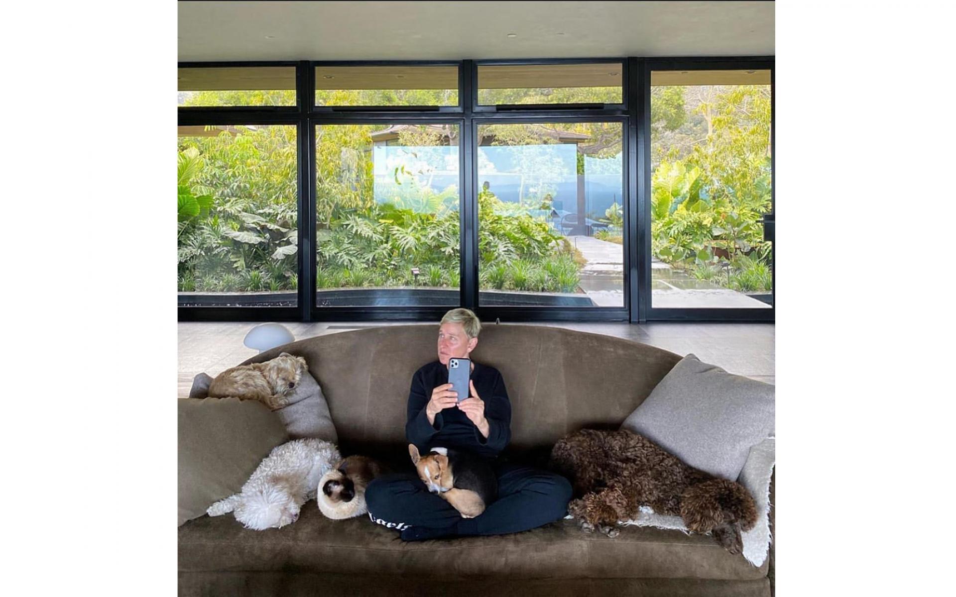 ألين دي جينيريس