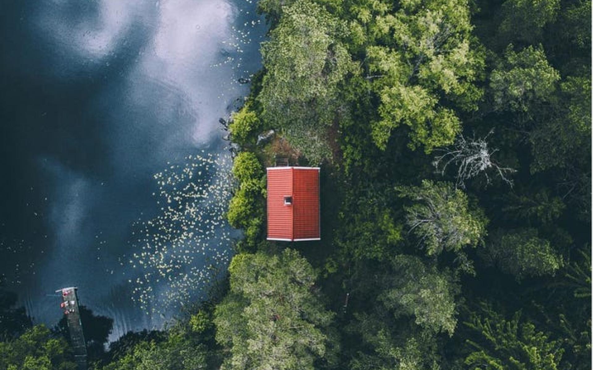 منظر جوي لغابة