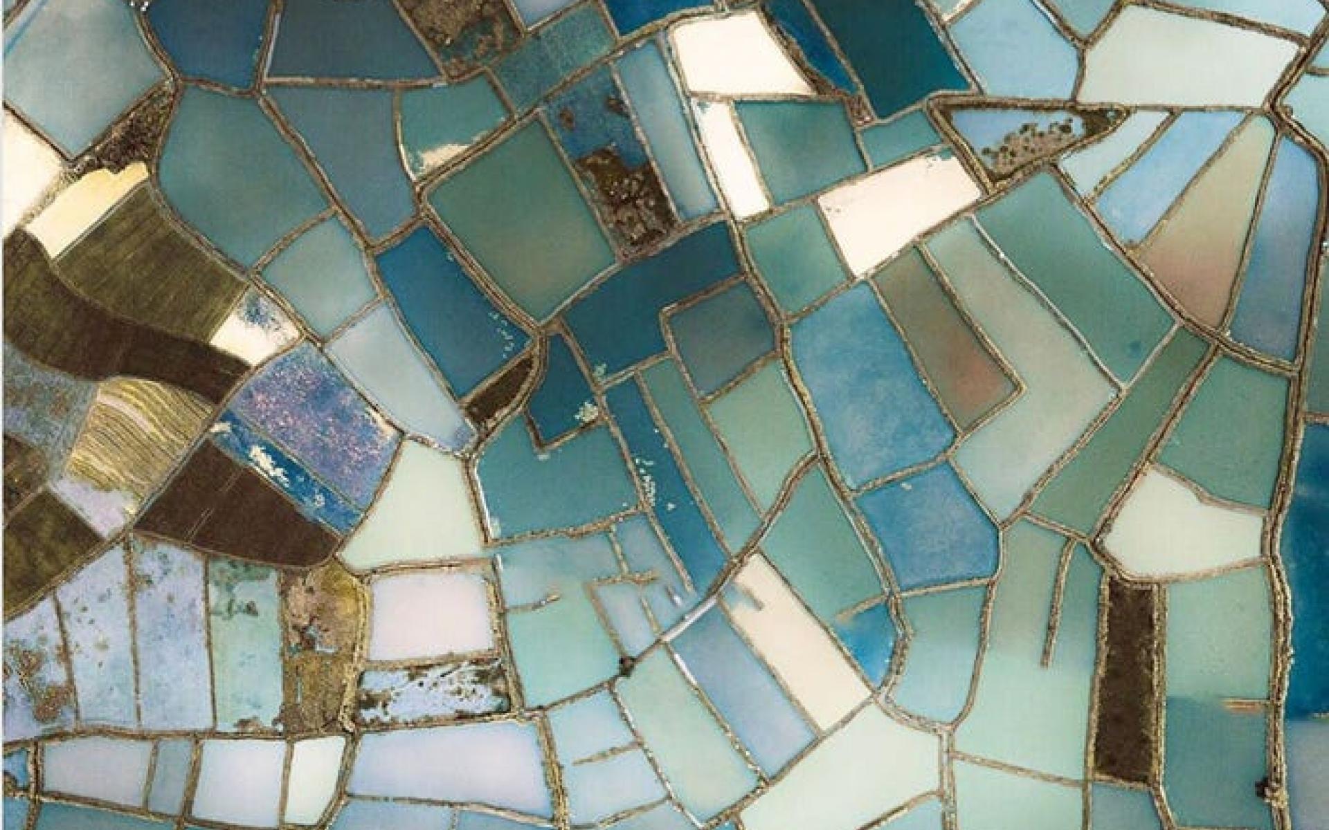 حقول الأرز الصينية