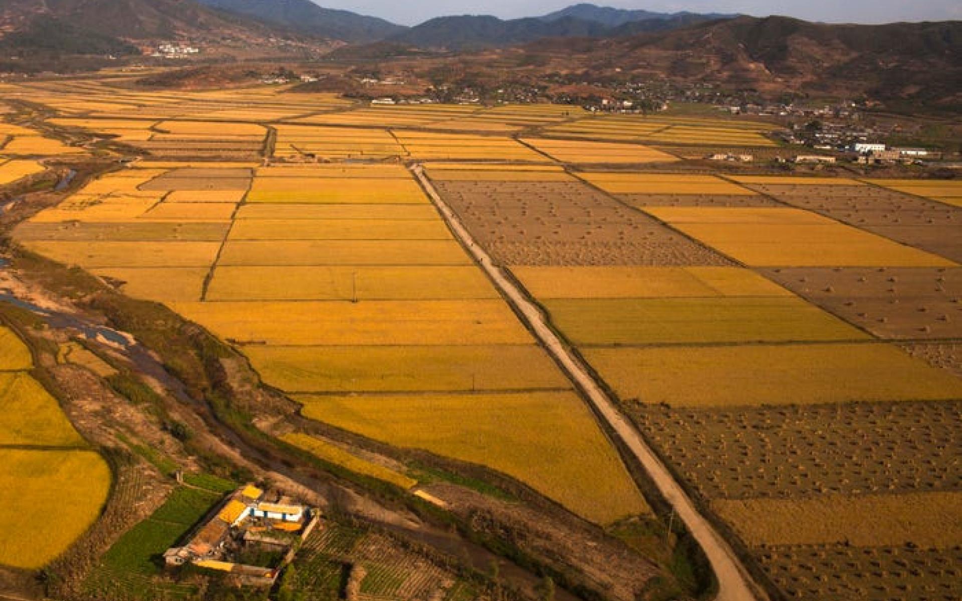 كوريا الشماليه