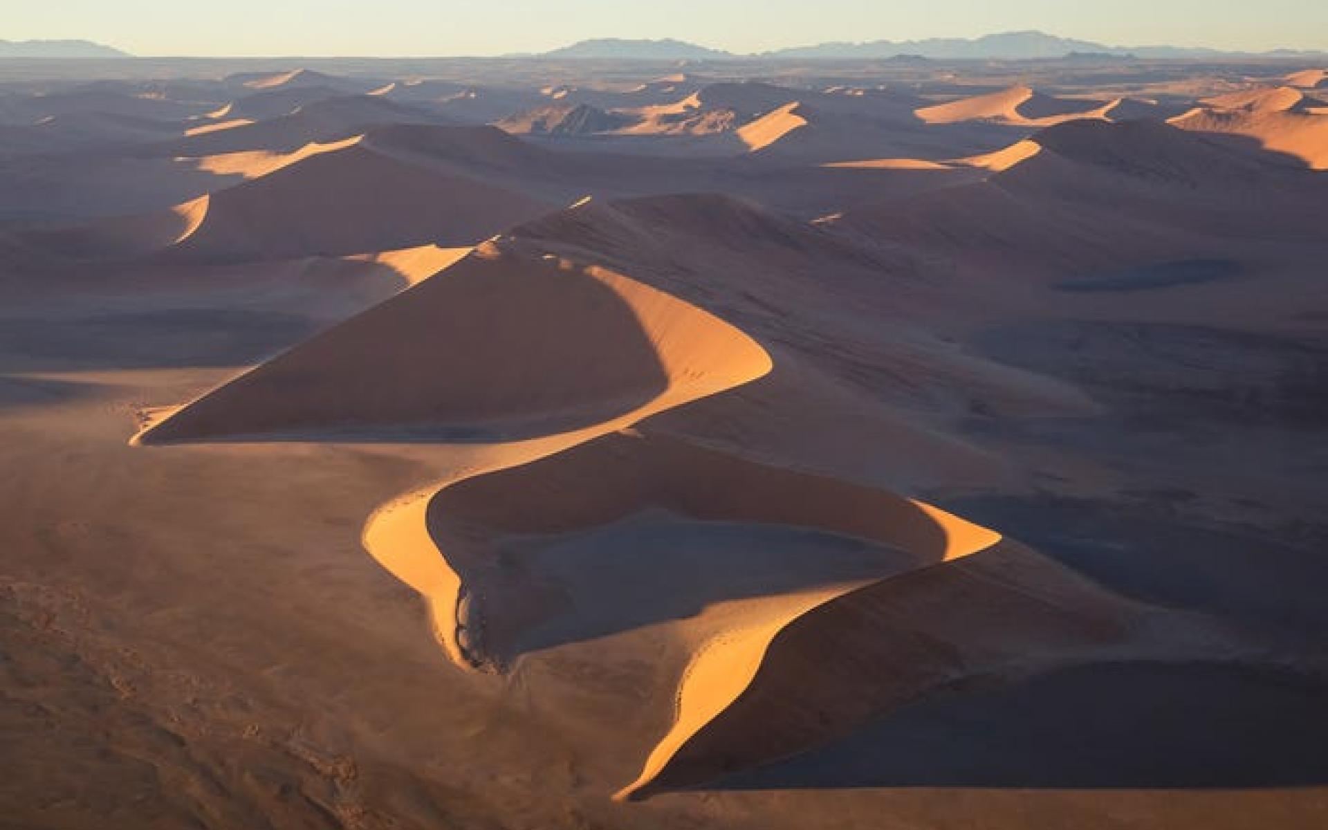 بيتشفورك ديون ، ناميبيا